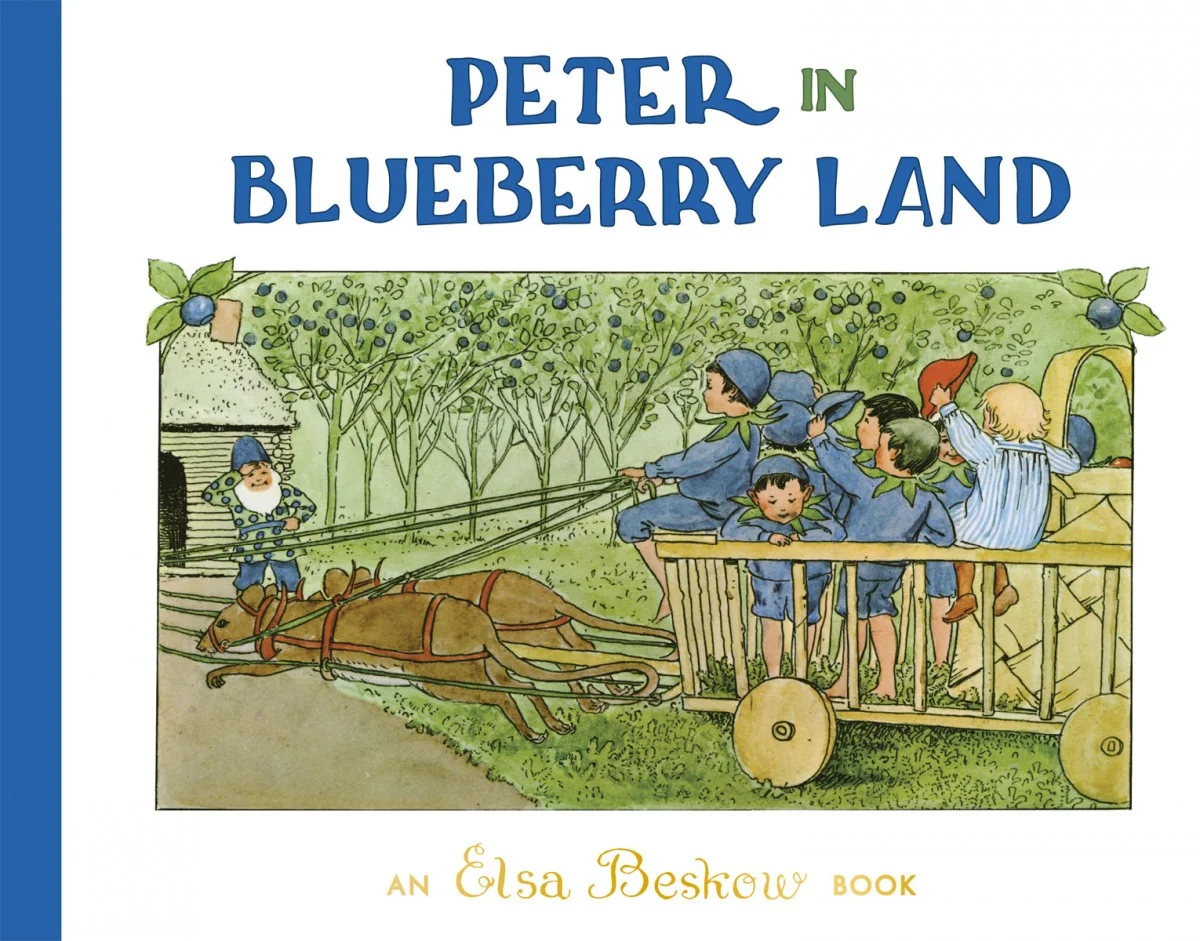 Peter in Blueberry Land: Hardcover: Mini Edition