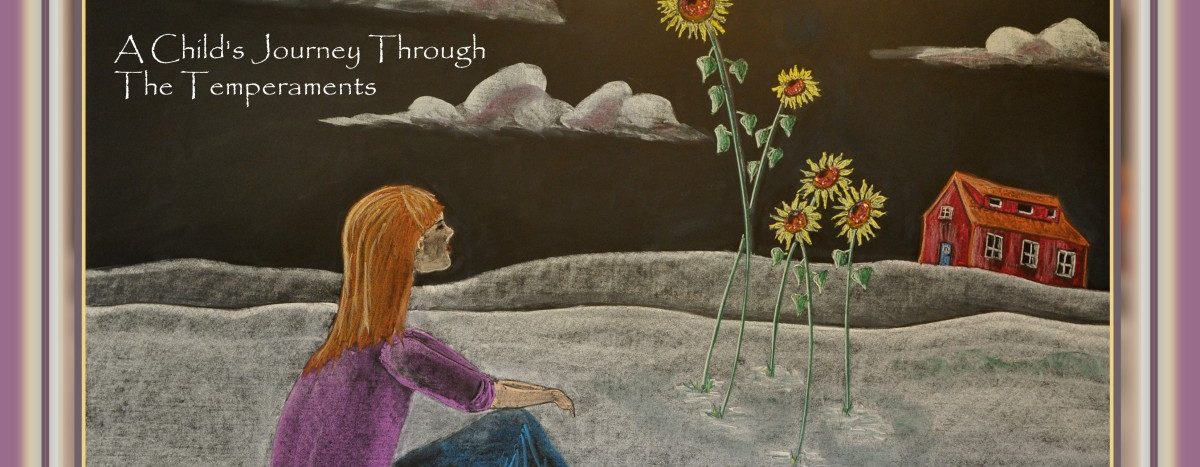 Book: The Journey of Analise with USA Shipping