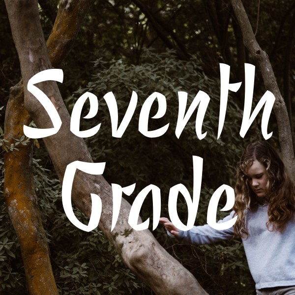 Seventh Grade Books