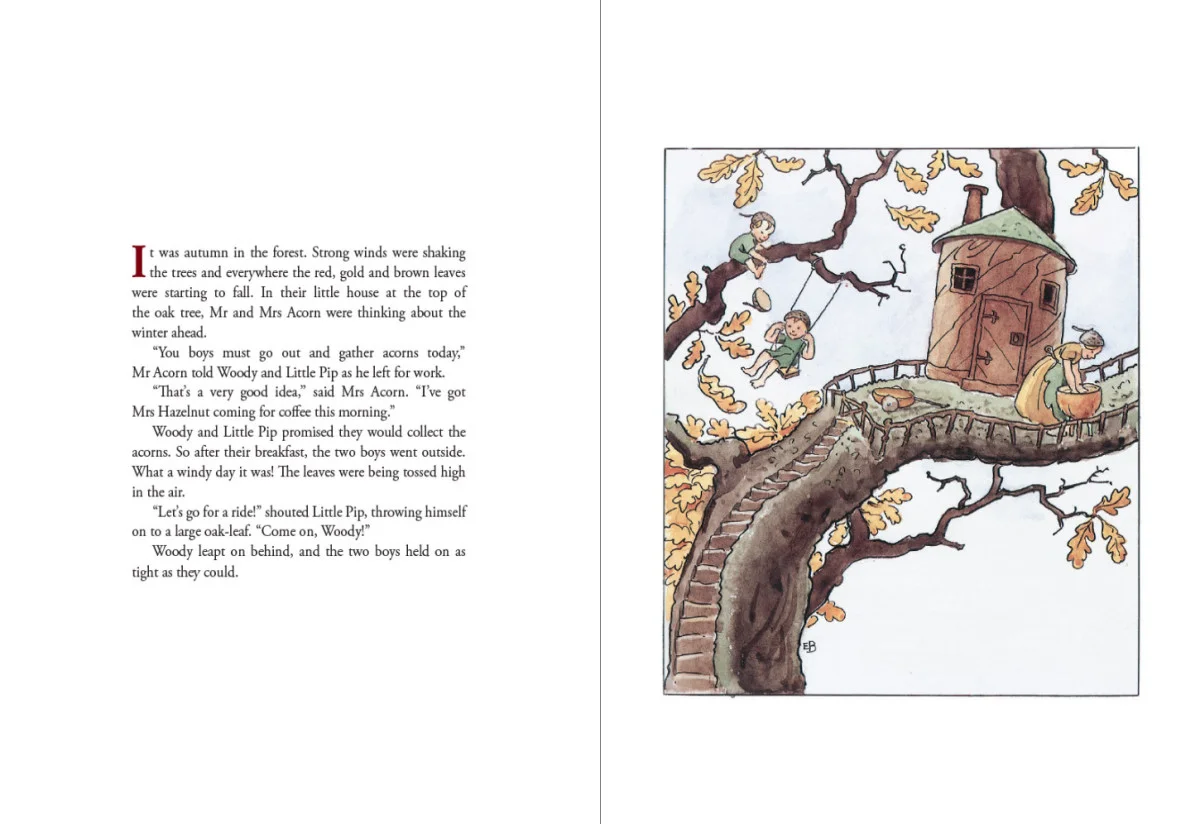 Woody, Hazel and Little Pip, 2nd Edition: Hardcover: Large Edition - Image 2