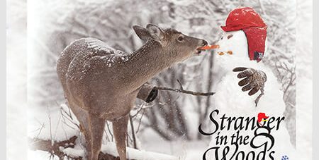 Stranger in the Woods, Snowflake Edition: Hardcover – SIGNED BY THE AUTHORS!
