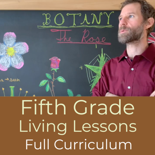 Fifth Grade Living Lessons Full Curriculum