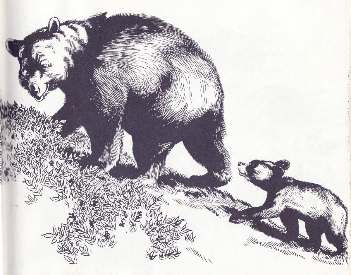 Blueberries for Sal: Hardcover - Image 3