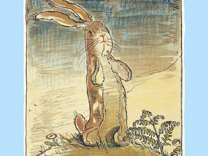 The Velveteen Rabbit: Hardcover