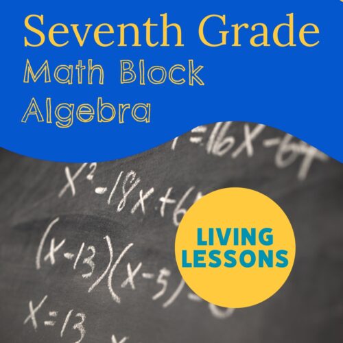 Seventh Grade Math Block: Pre-Algebra & Algebra