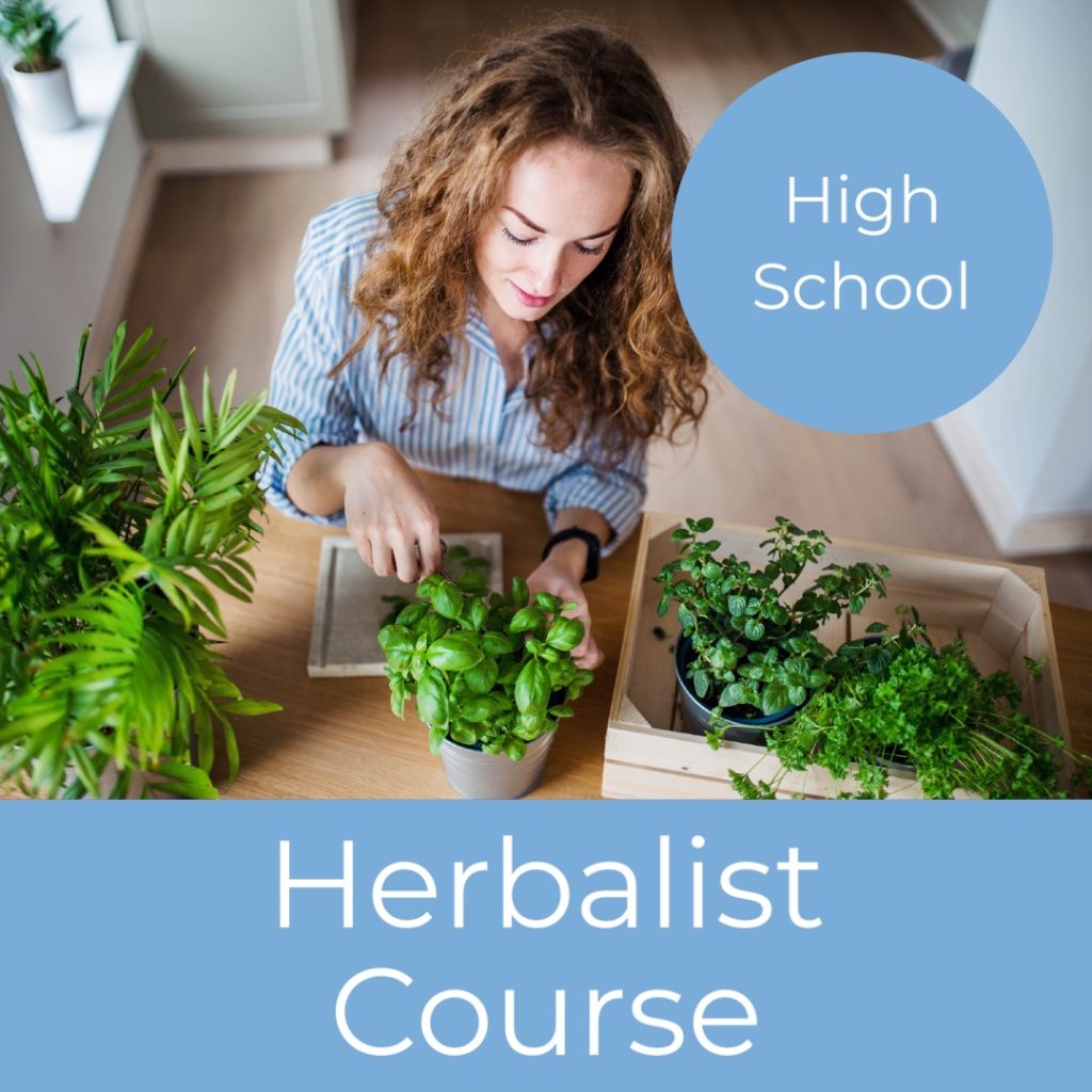Herb'n Kids The BEarth Institute