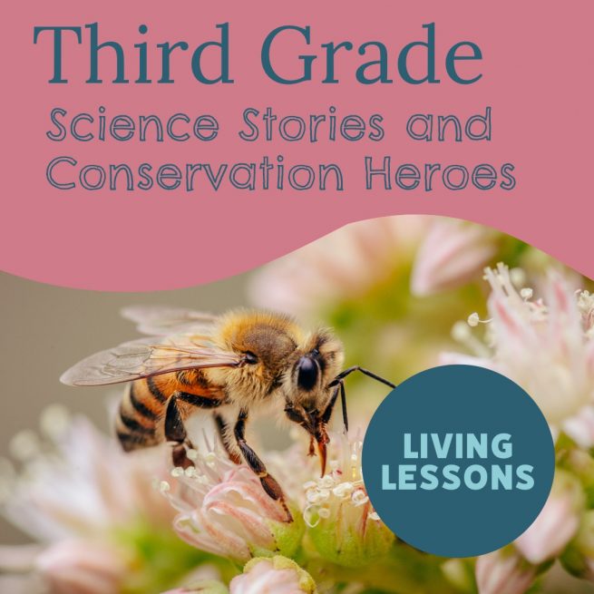 Third Grade Science Block with Living Lessons - Earthschooling
