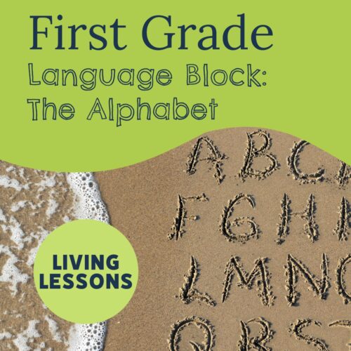 First Grade Language Block: The Alphabet with Living Lessons (More Than 100 Lessons!)