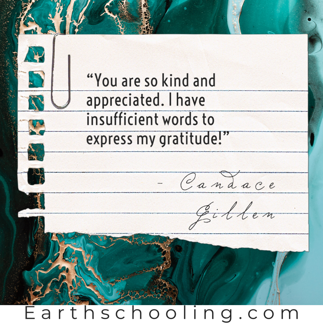 Second Grade Waldorf Living Lessons ‘Main Lessons Only’ Set - Image 10