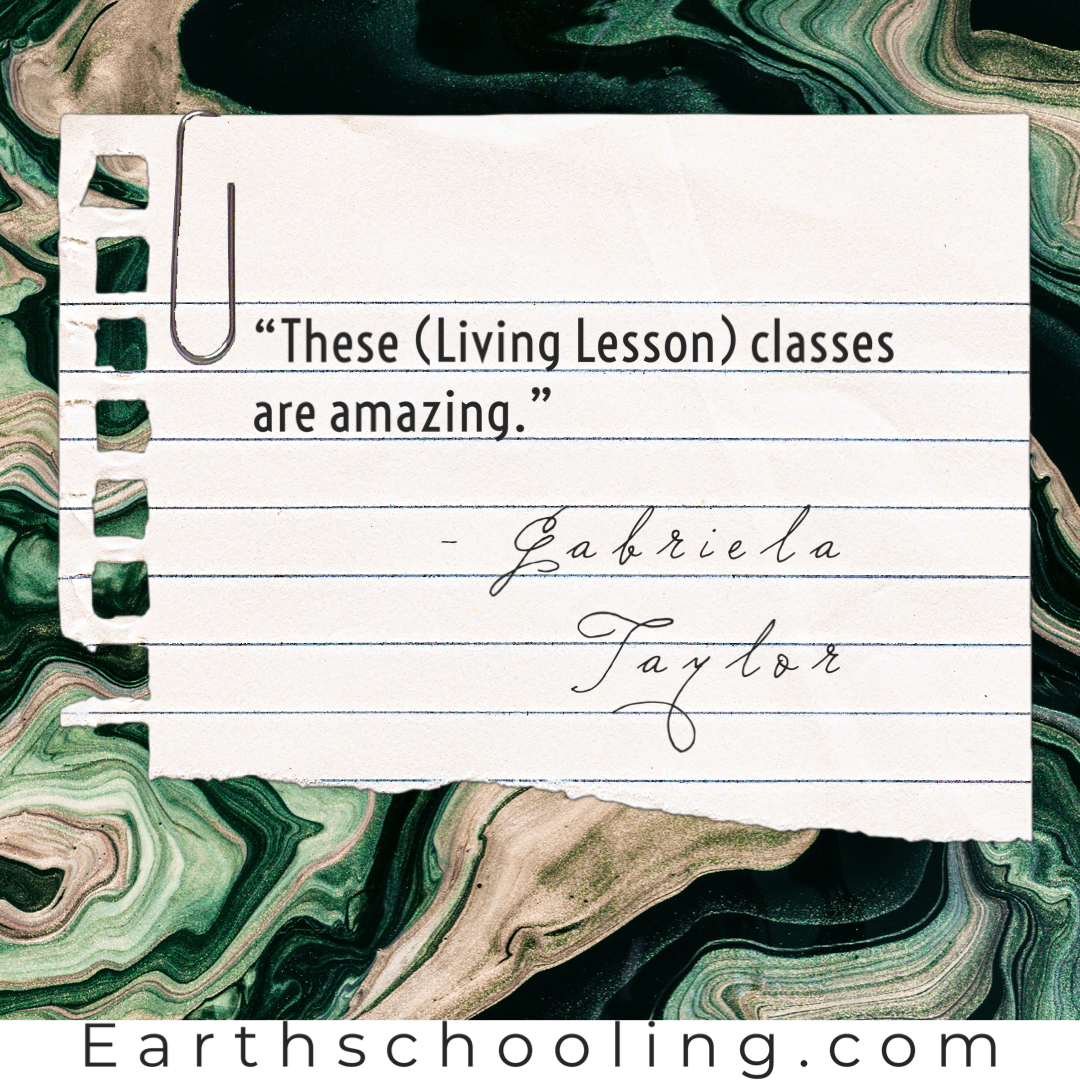 Seventh Grade Waldorf Living Lessons ‘Main Lessons Only’ Set - Image 12