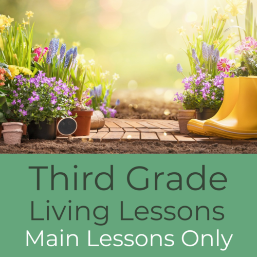 Third Grade Waldorf Living Lessons ‘Main Lessons Only’ Set