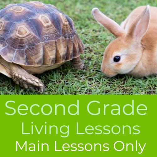 Second Grade Waldorf Living Lessons ‘Main Lessons Only’ Set
