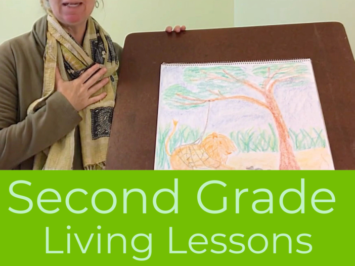 First Grade Living Lessons Main Lessons Only