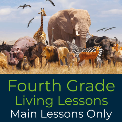 Fourth Grade Waldorf Living Lessons ‘Main Lessons Only’ Set