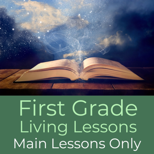 First Grade Waldorf Living Lessons ‘Main Lessons Only’ Set