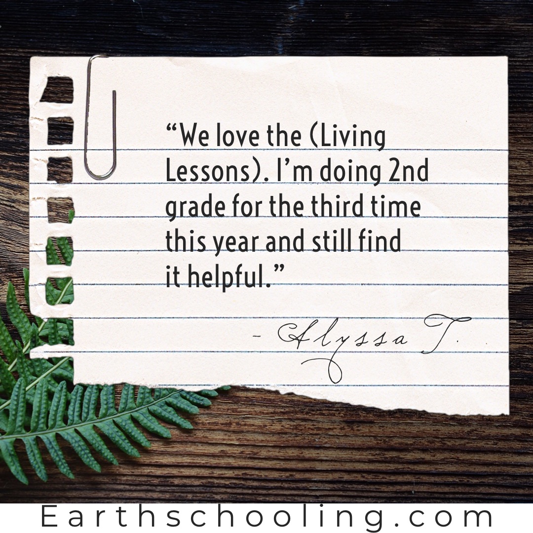 Second Grade Waldorf Living Lessons ‘Main Lessons Only’ Set - Image 20