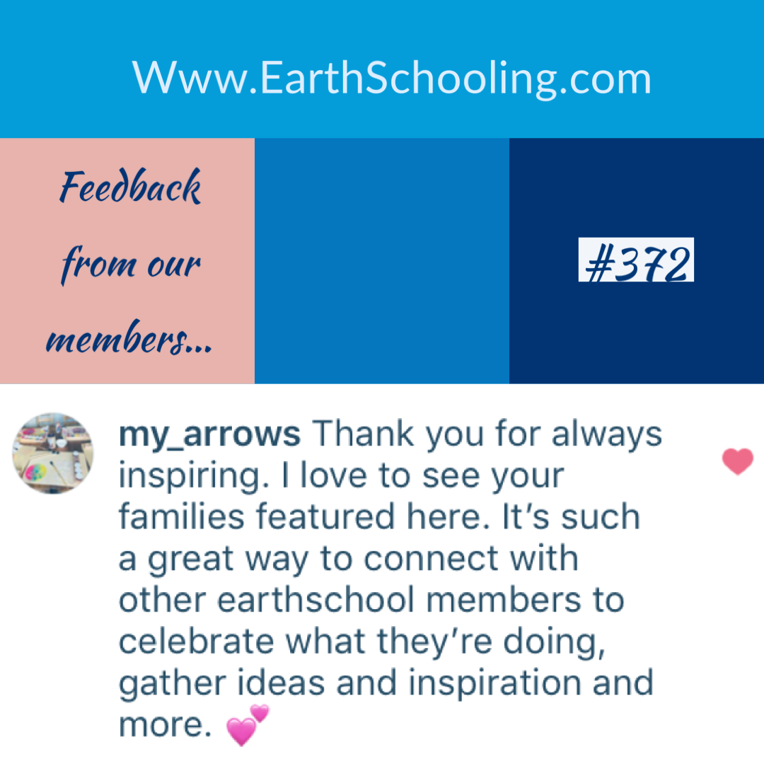 Seventh Grade Waldorf Living Lessons ‘Main Lessons Only’ Set - Image 9