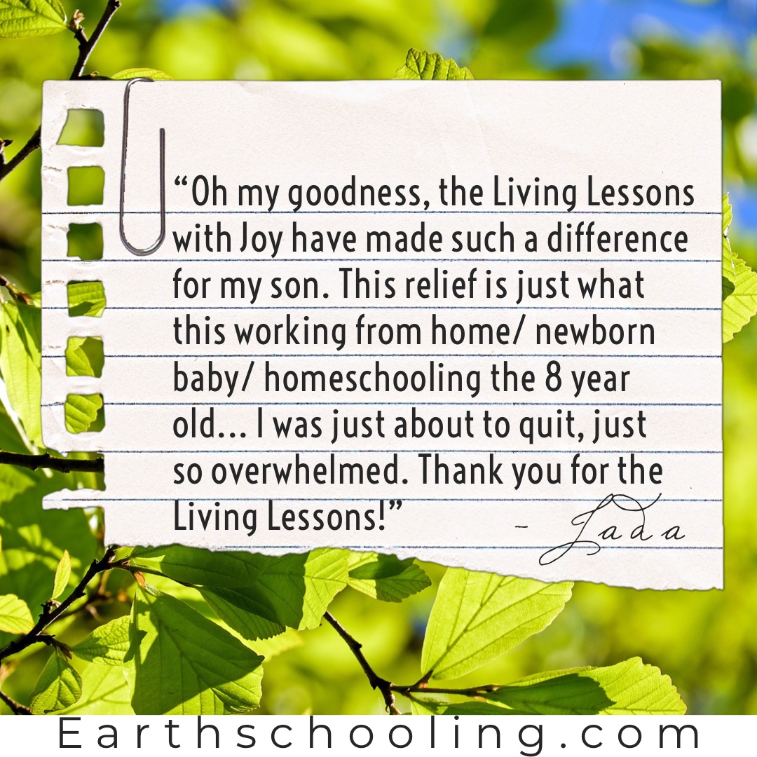 Fifth Grade Waldorf Living Lessons ‘Main Lessons Only’ Set - Image 18