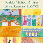 Assorted Waldorf Main Lesson Book pages