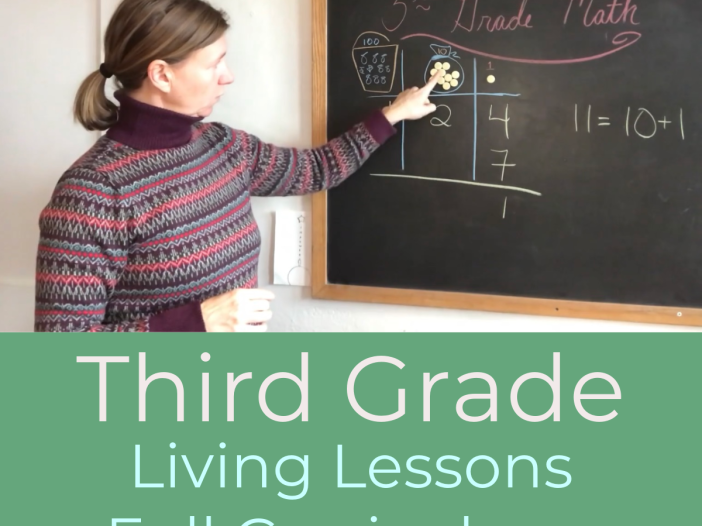 Video still of teacher Mellie Lonneman teaching third grade Waldorf math block