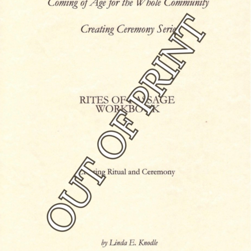 Rites of Passage Workbook, 3rd Edition — OUT OF PRINT