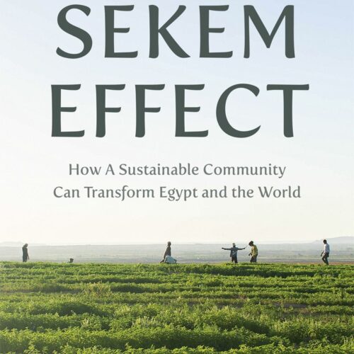 The Sekem Effect — NEW ARRIVAL