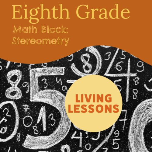 Eighth Grade Math Block: Stereometry (with Living Lessons)
