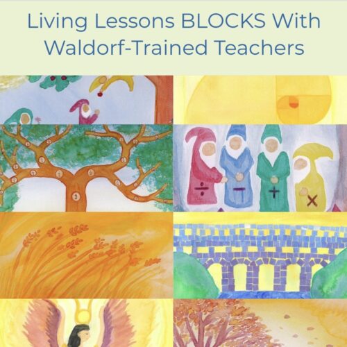 Living Lessons BLOCKS With Waldorf-Trained Teachers