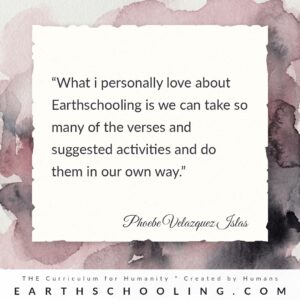 adaptable homeschooling program